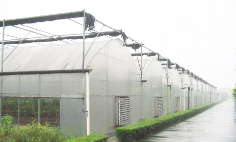 連棟薄膜溫室的使用方法都有哪些？